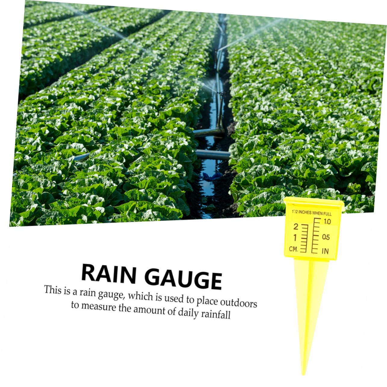 SUPVOX 5 Set Di Misurazione Accurata Della Pioggia Pluviometro Per Esterni Irrigatore in Plastica Per Giardino Cortile E Prato 4 Pezzi * 5