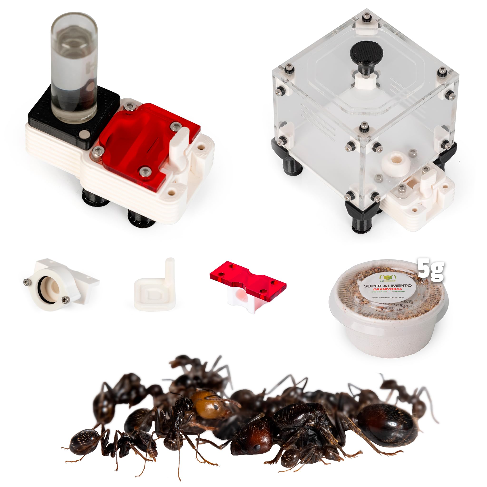 Starter-Set Messor Barbarus | Modularer Ameisenhaufen | inklusive Ameisen (matt-weiß)