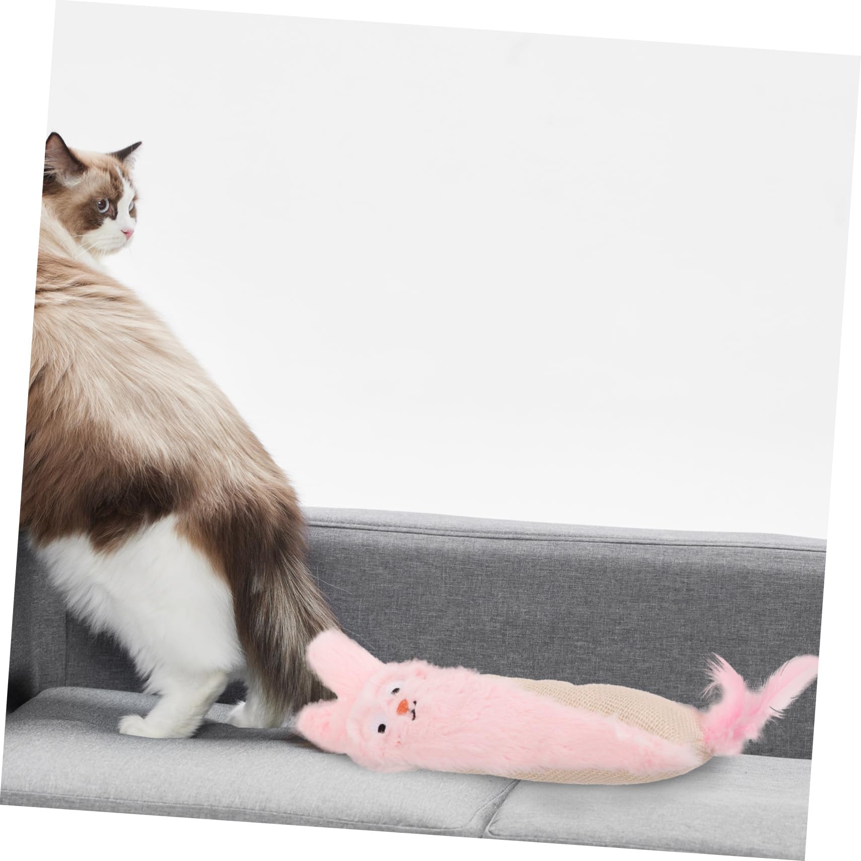 Toddmomy d'herbe à Chat De De Chat De Voiture pour Chat Herbe à Chat Drôle Chat pour Chats D'intérieur Trousse pour Chat Jouets Rose Peluche