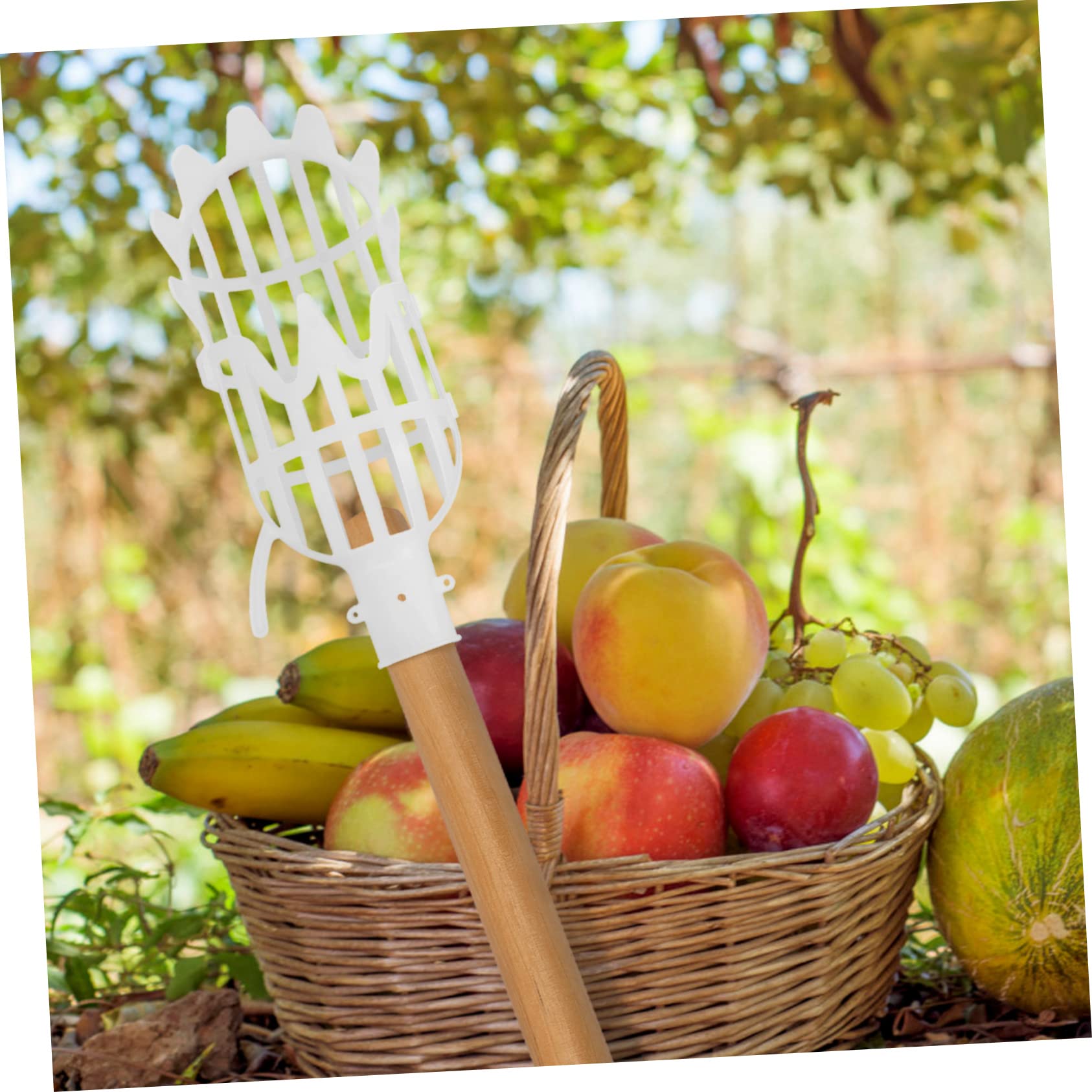 CAXUSD Fruit Scissors 2pcs Detachable Fruit Picker Basket Berry Labor Saving Tools for Orchards