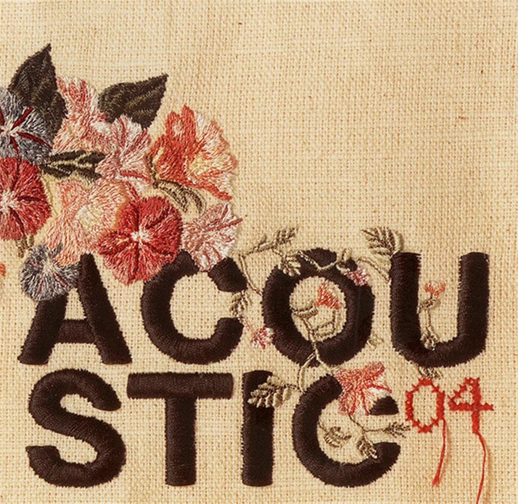 (HH36) Acoustic 04, 40 tracks various artists - 2004 double CD