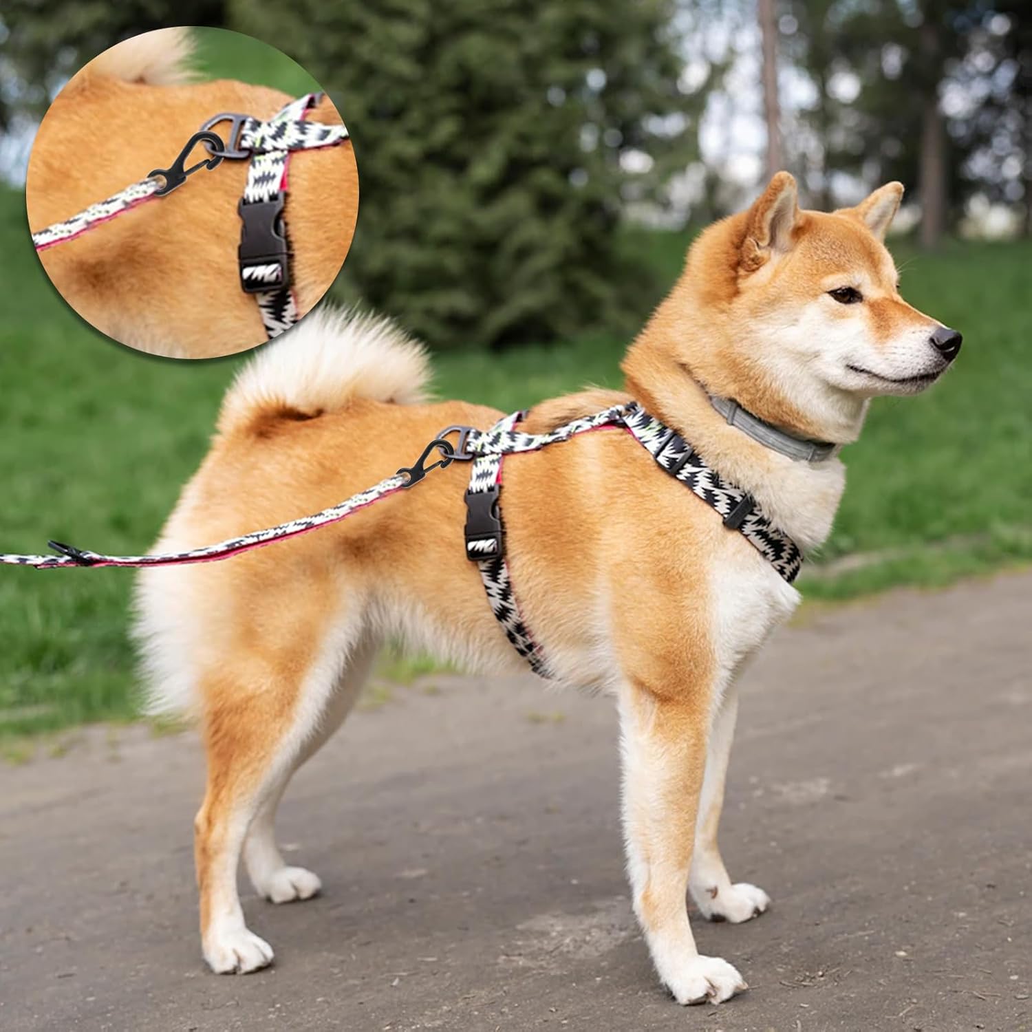 Mini Carabiner Clip Spring Snap Hook Buckle Clasps for Paracord Keychain Backpack Bottle Outdoor Camping Accessories - Image 7