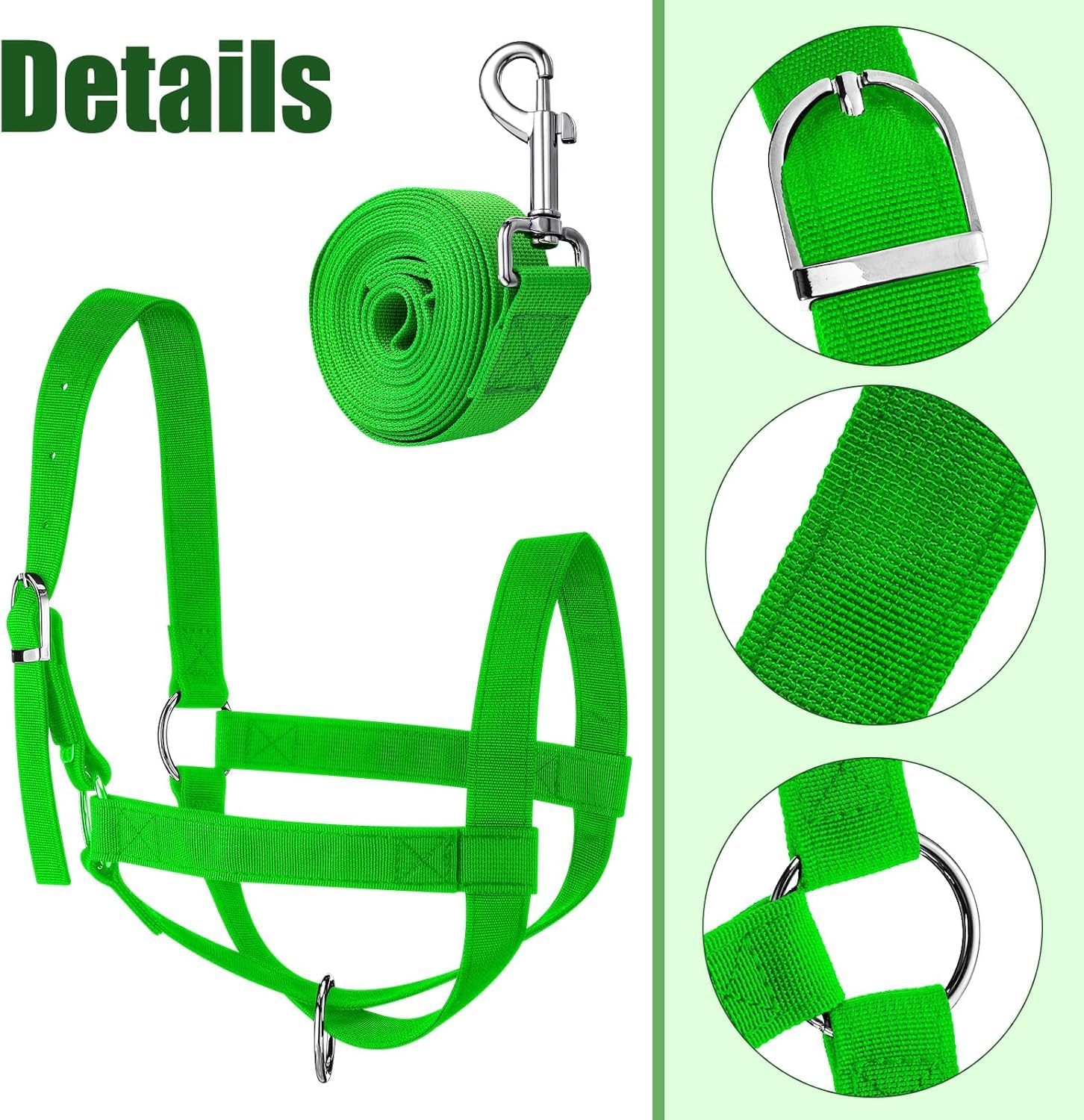 Cavezze per Bovini Cavezze per Vitelli Regolabili con Corda Principale per Cavezza per Cavezze per Cavalli in Miniatura Asino Capra Puledro in Nylon Cavezze per Bestiame Formazione, Green, M