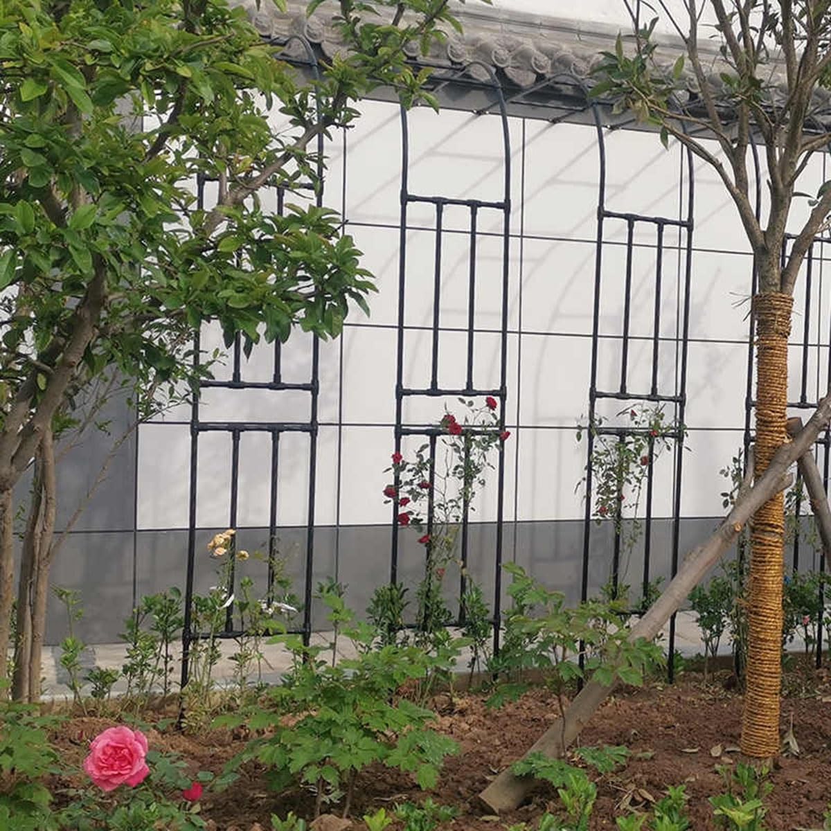 Arco da giardino in acciaio per piante rampicanti – Supporto a mezzo arco per rose e rampicanti, 150 – 300 cm, regolabile, facile da montare, durevole e stabile, decorazione da giardino