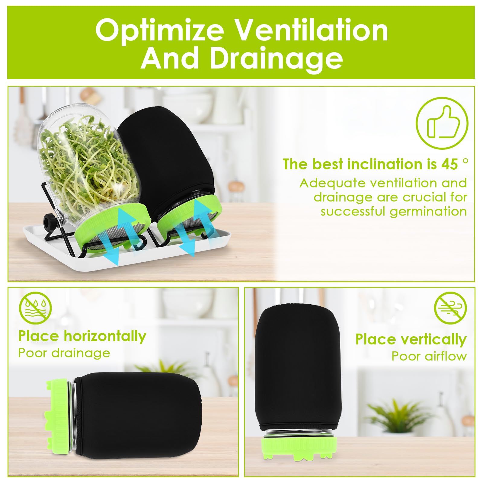 Kit completo de germinación en frascos (2) - Kit de cultivo de brotes de vidrio con tapa de acero inoxidable, soporte de goteo para brotes de brócoli, frijol mungo y alfalfa