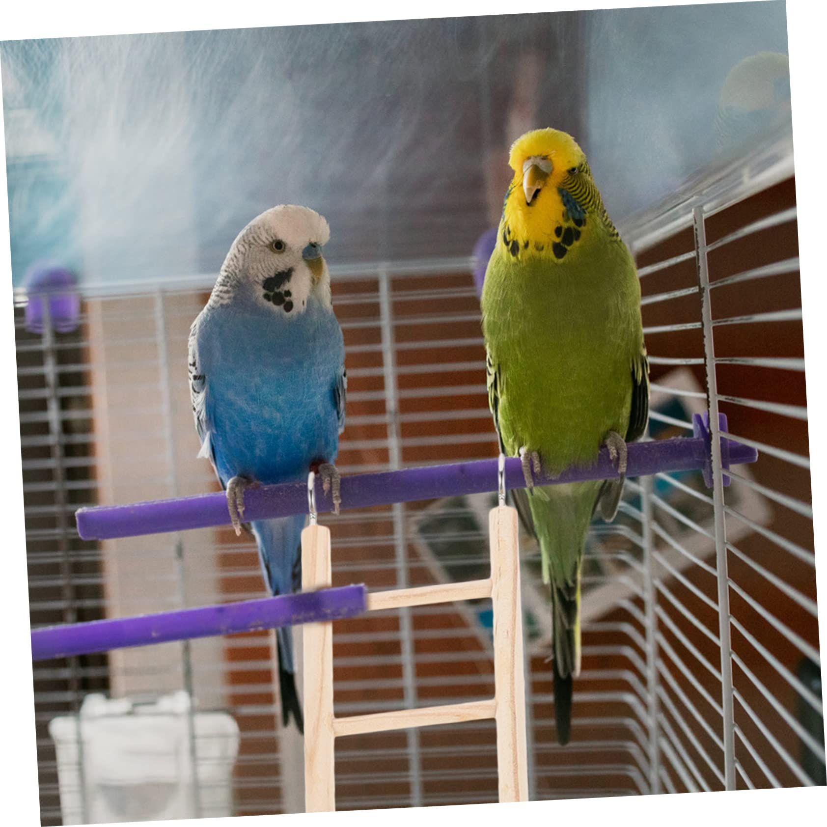 Toddmomy Parrot Cage Ladder Wooden Bird Ladder Toy for Climbing and Chewing Safe Bird Cage Accessories Enhance Pet Activity and Mental Stimulation 14.76X2.76X0.39In - Image 4