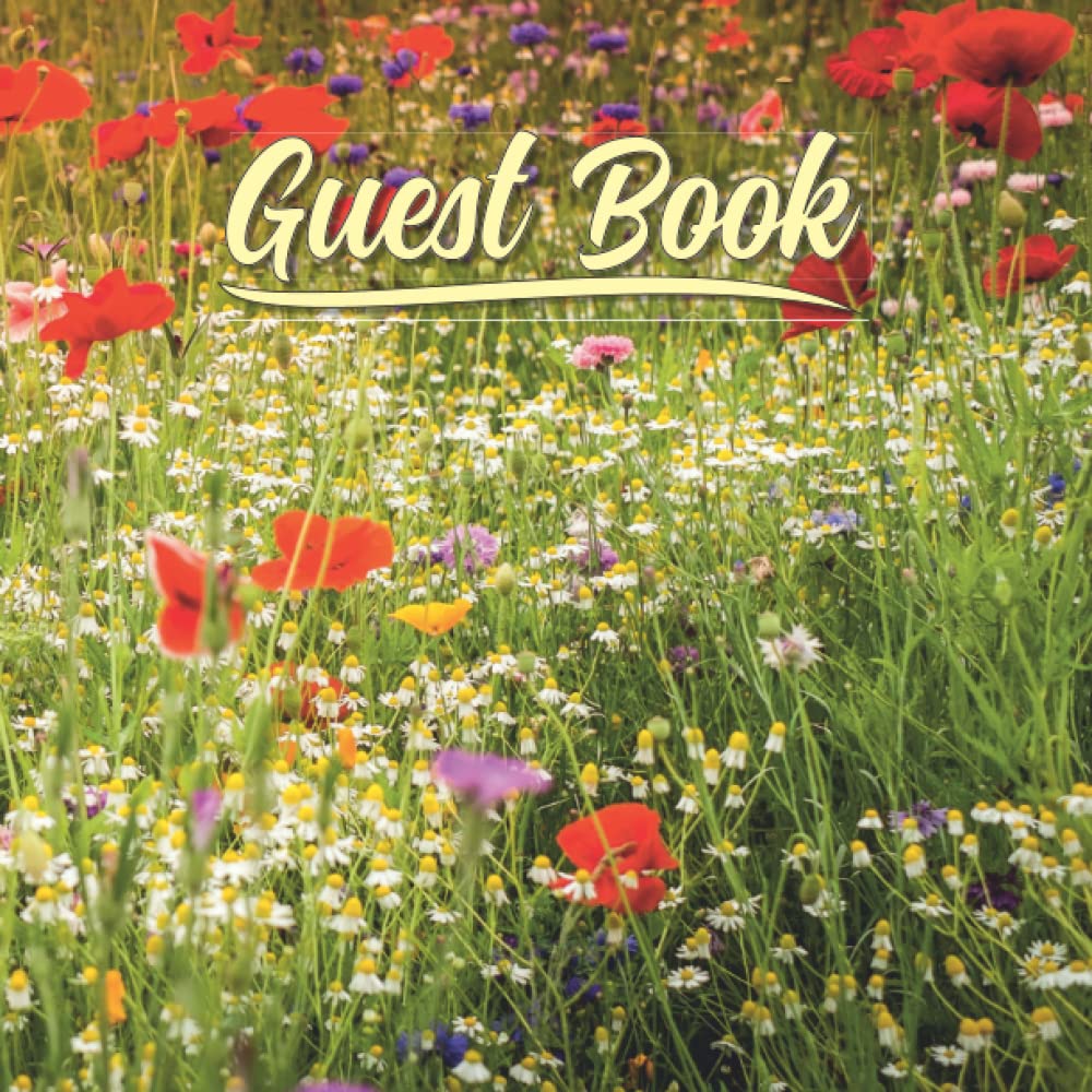 Guest book: Guest Book for Holiday, Rental, Bed and Breakfast, Airbnb, VRBO, Guest House, Motel and Hotel Log Book.