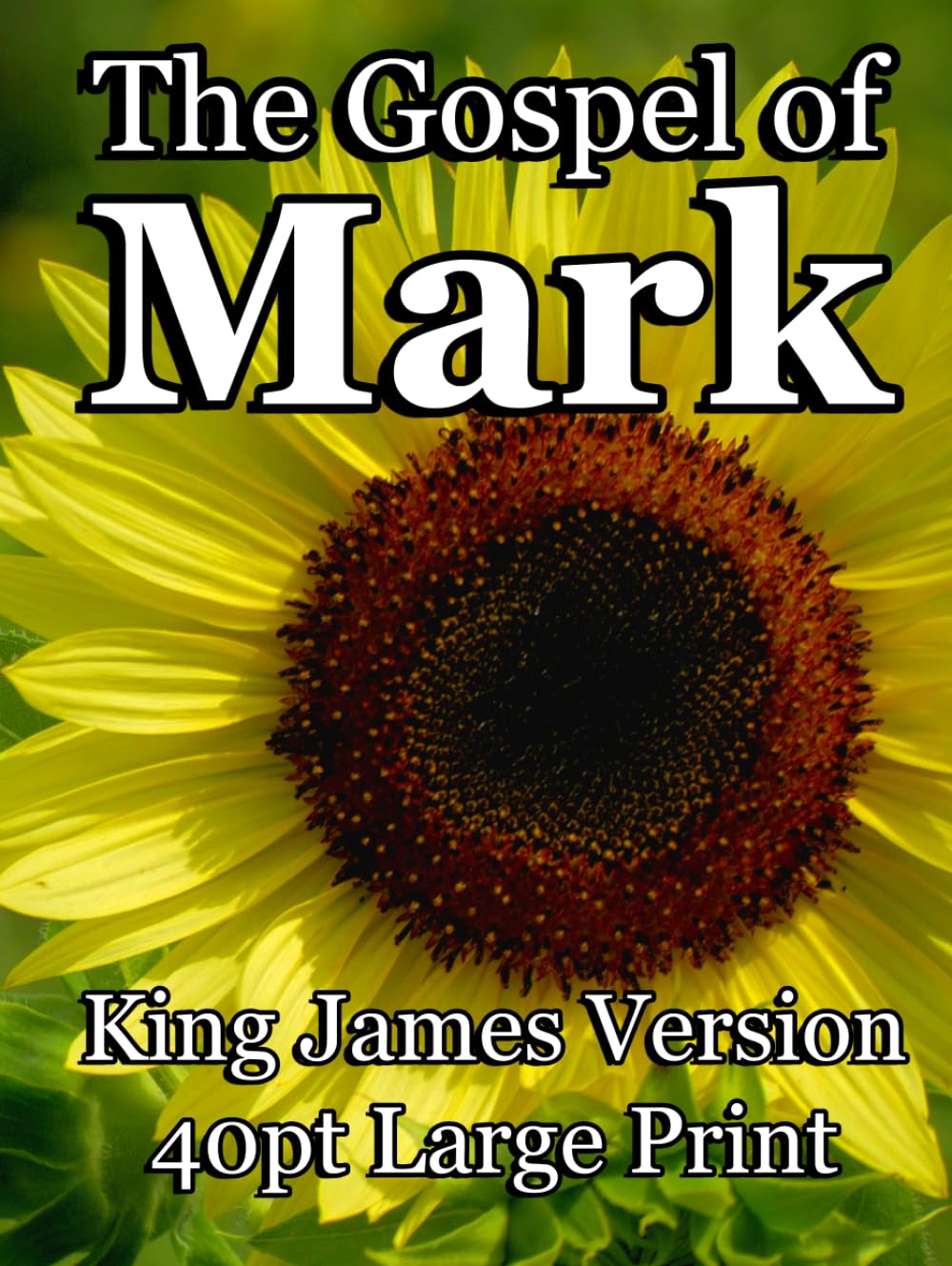 The Gospel According to Mark: 40 pt. Large Print Bible