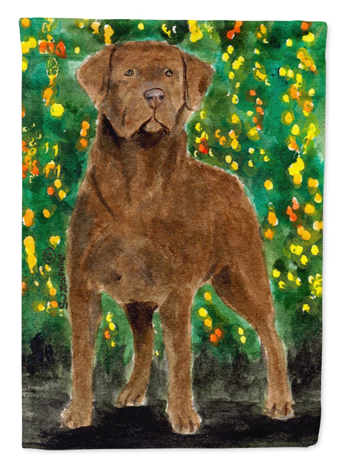 Drapeau de jardin Chesapeake Bay Retriever Caroline's Treasures SS8969GF petit format multicolore