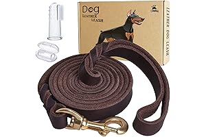 LWBMG Braided Leather Dog Leash