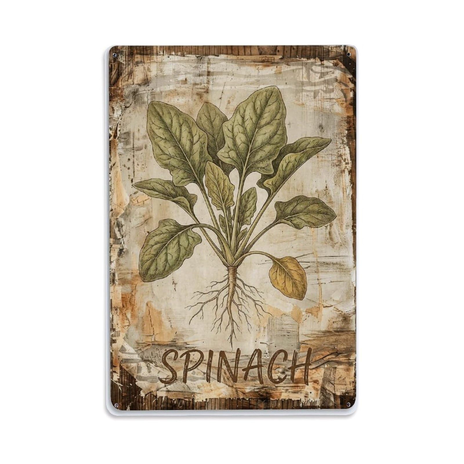 Fqnyr Style Spinach Leafy Vegetable Metal Tin Sign Plaque Wall Decor For Cafe, Club Bar, Office, Home Garden Metal Poster 8X12inch