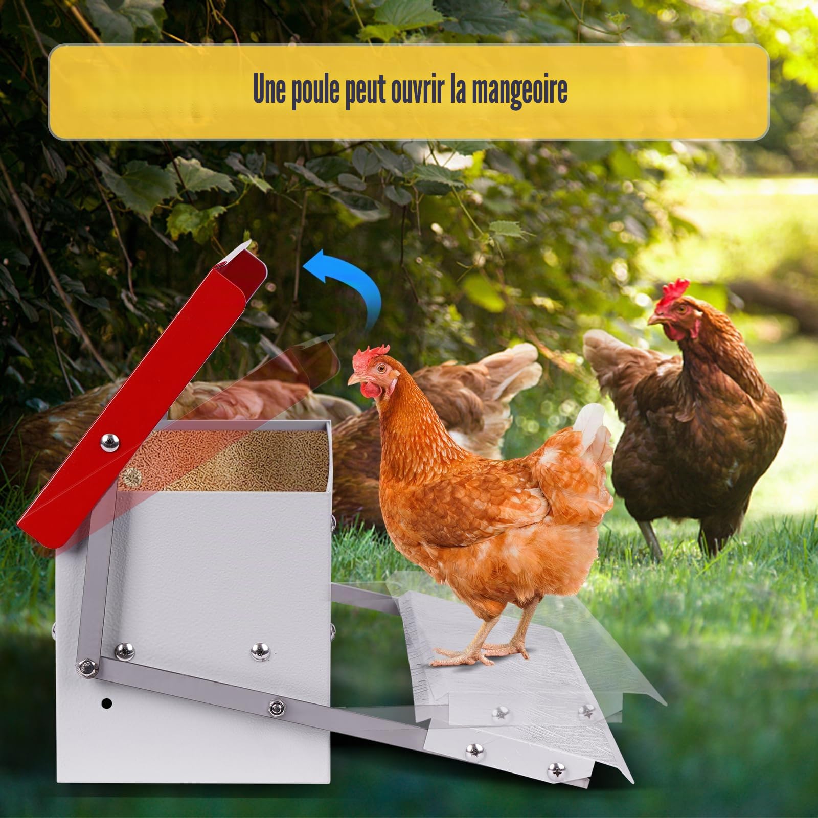Mangeoire Poule Automatique,Mangeoire Galvanisée Pouvant Contenir 5 Kg de Nourriture,Distributeurs de Nourriture,Pour Poulets, Dindes, Oies et Canards