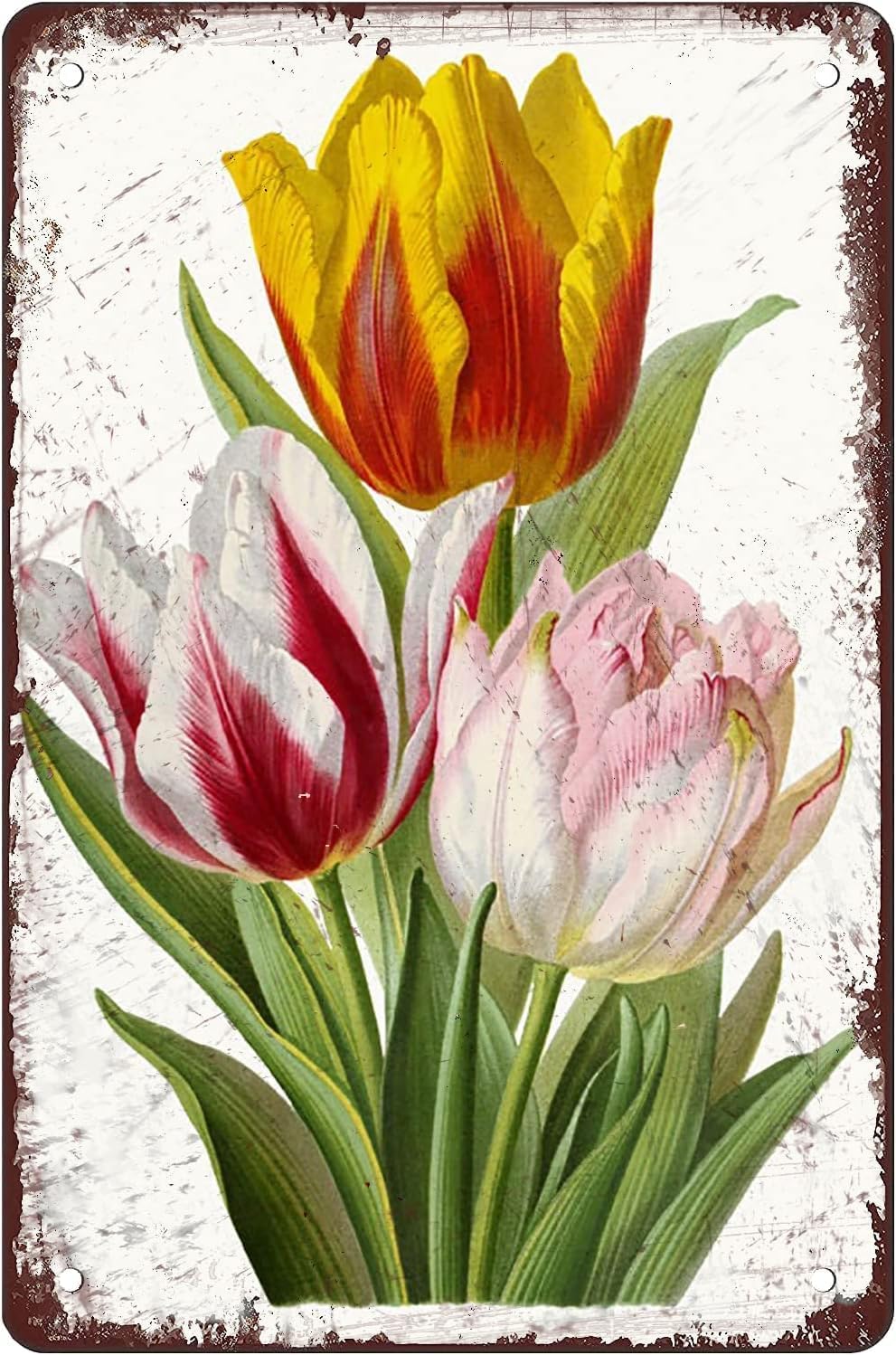 Tulips Vintage Flower Flowers Vintage Metal Tin Sign Flower Home Decor