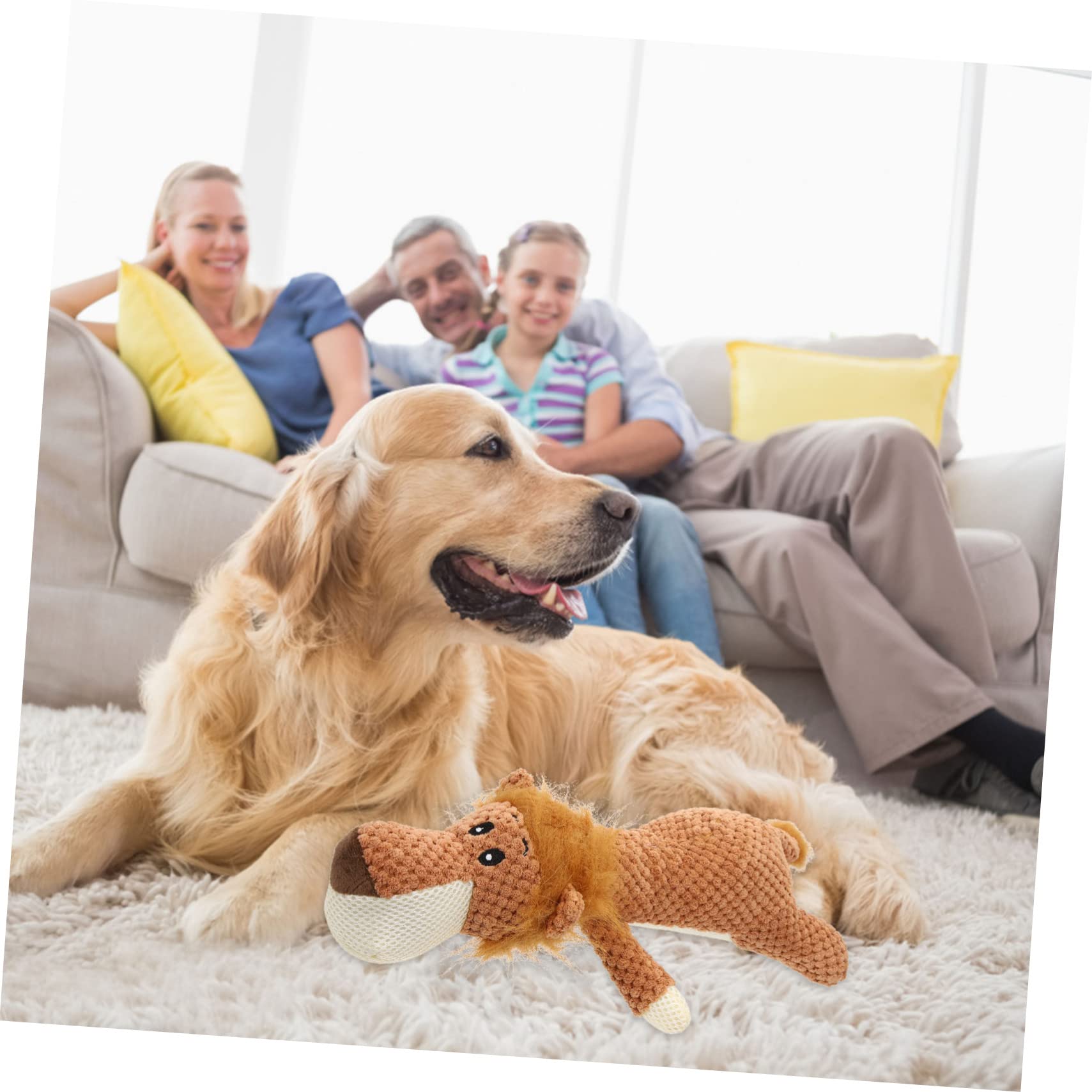 Kisangel 3stücke Plüsch Hundespielzeug Löwe Kauspielzeug Für Welpen Langlebig Und Sicher Zur Beschäftigung Dekoration Für Ihr Zuhause