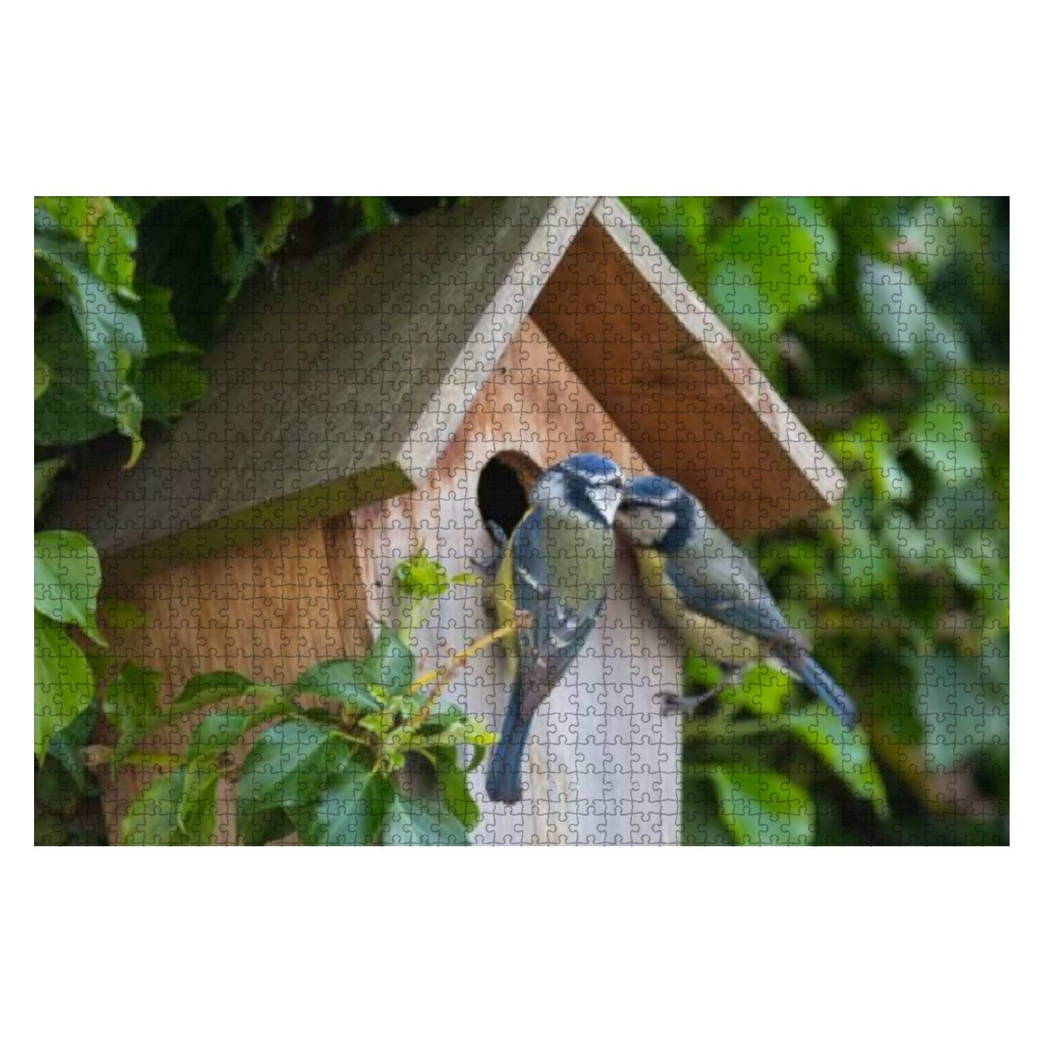 douno artworkBlue tit 1000 Pieces Wooden Jigsaw Puzzles for Adults Decompression DIY Children Educational Puzzles Creative Games Toys Gift Home Decor