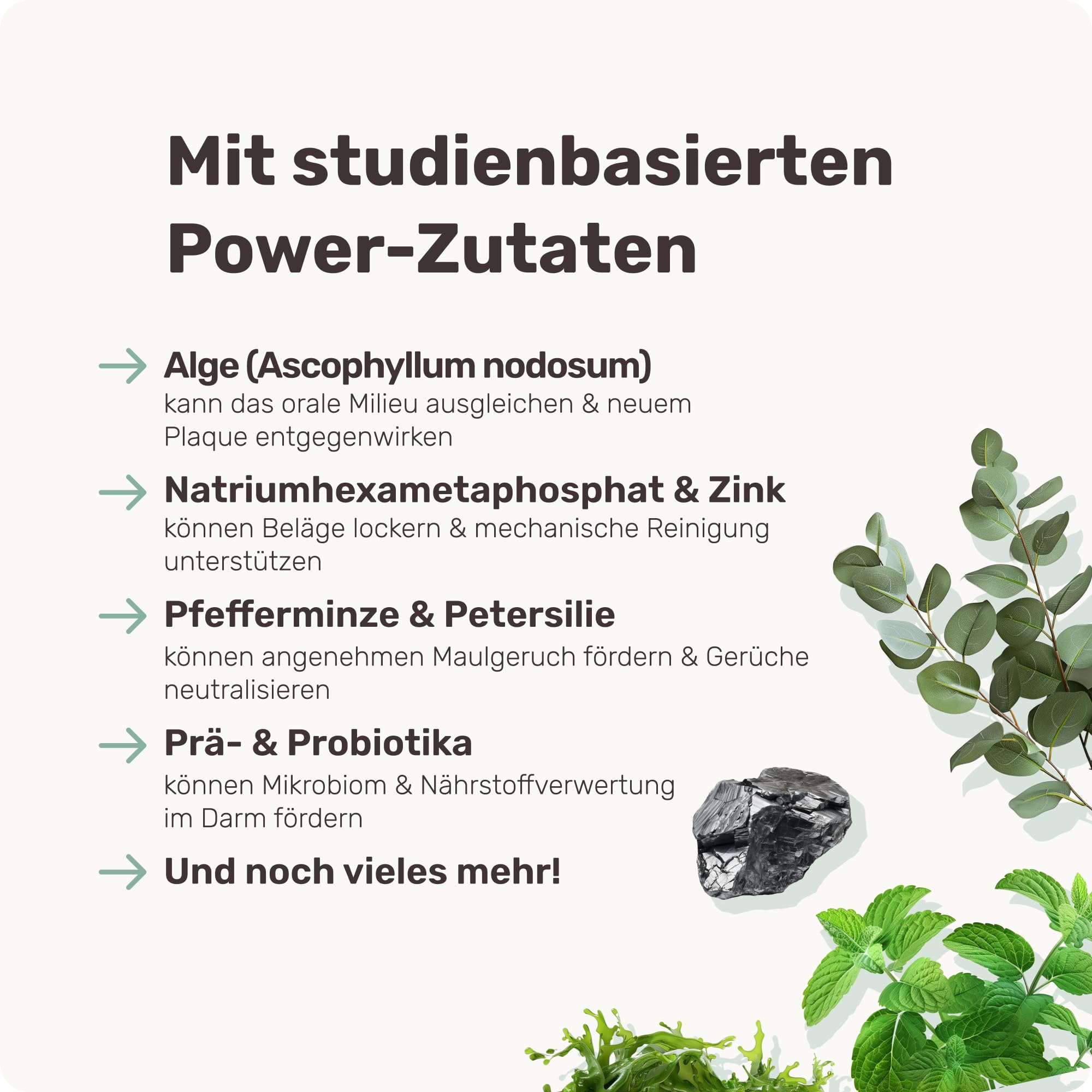 mammaly Dental Pulver für Hunde - Fresh Smile Futtertopping 150g - Reguliert Zahnstein als Zahnsteinentferner - Zahnpulver für Zahnpflege und Mundgeruch - Bis 2 Monate Reichweite inkl. Messlöffel