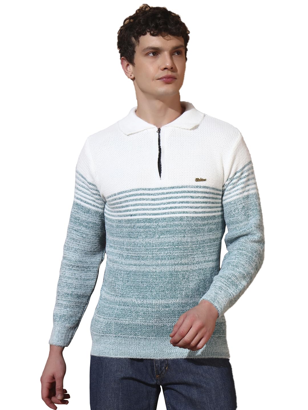 anixa Mens Woollen Winter Sweater Collar Neck Full Sleeve for Casual Wear Pack of 1-picture-29