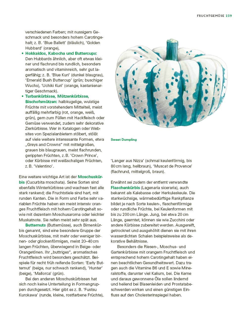 Das große Gemüse- und Obstgartenbuch: Planen, anbauen, pflegen und erfolgreich ernten für Selbstversorger