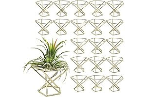 20 PCS Air Plants Holders: Unparalleled Chic for Your Indoor Oasis