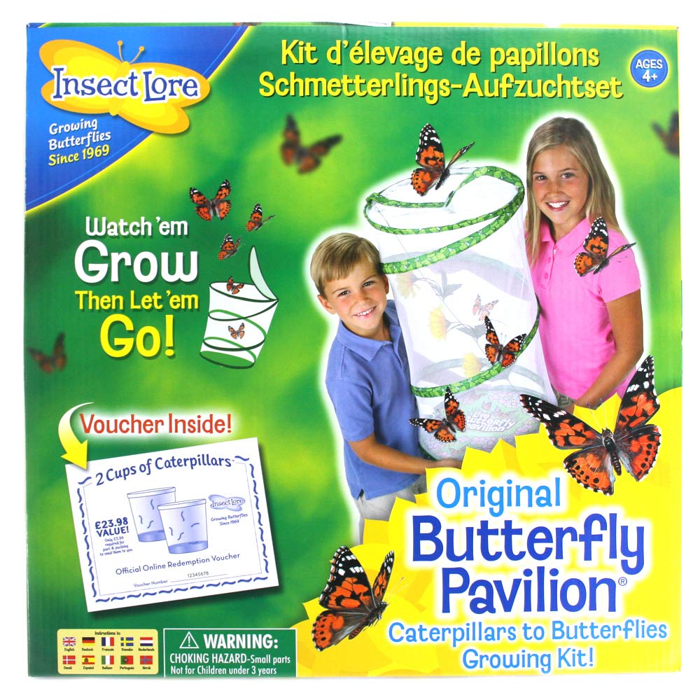 Insect Lore Butterfly Pavilion