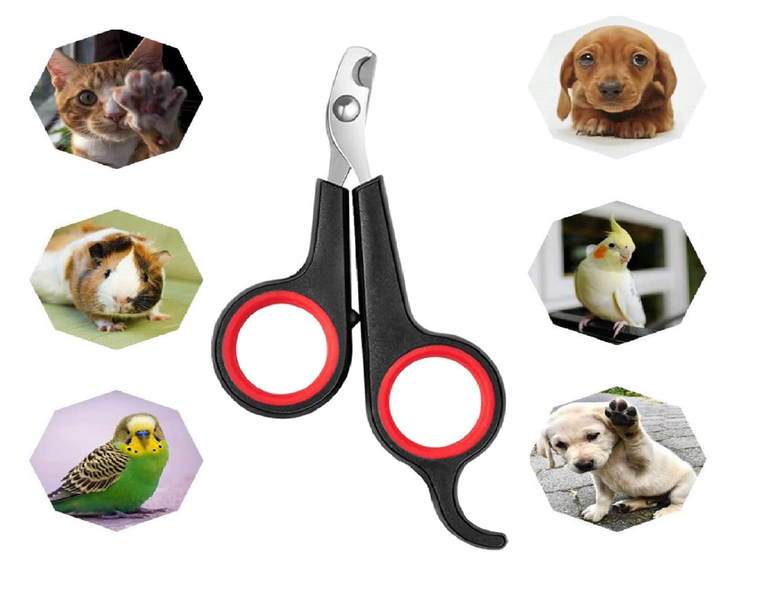 See full amazon price history chart for Q D Pet Grooming Nail Claw Paw Cutter Trimmer Clipper Scissor for Dog Cat Puppies Rabbit and All Small Animals and Birds Q D Pet Grooming Nail Claw Paw Cutter Trimmer Clipper Scissor for Dog Cat Puppies Rabbit and All Small Animals and Birds (B0C17ZFF4Y) Amazon Price History, Amazon Price Tracker