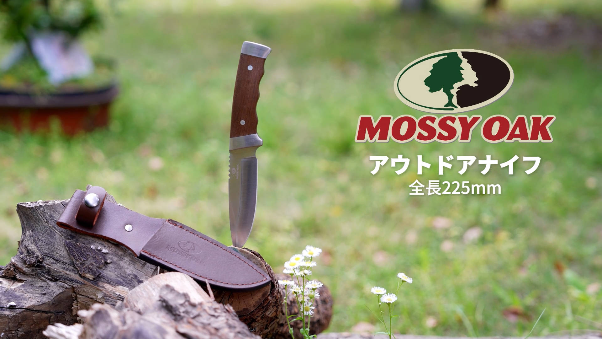 Amazon.co.jp: MOSSY OAK ナイフ アウトドアナイフ シースナイフ