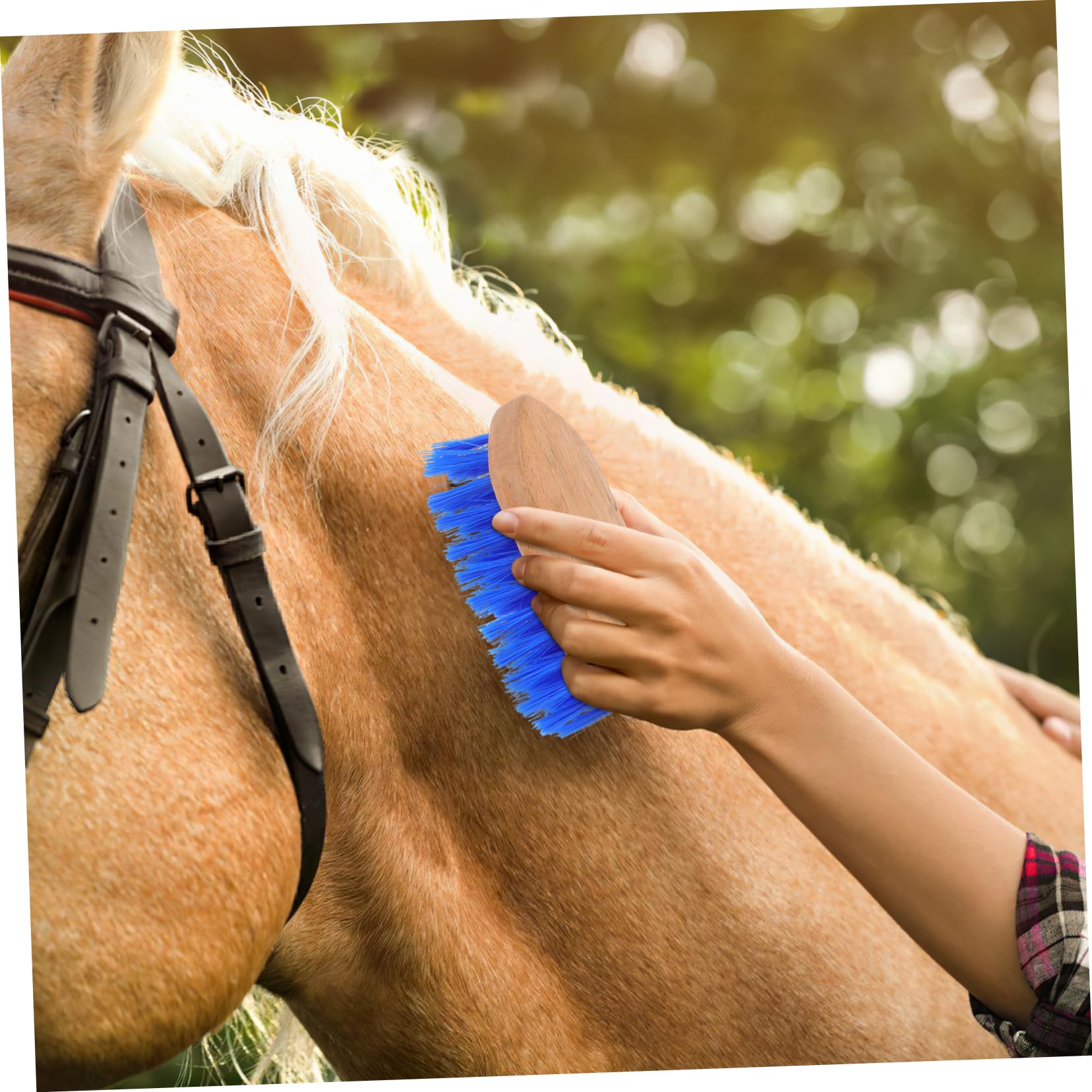 GALPADA 5piezas Cepillo De Cuidado Para y Ganado Cepillo De Cerdas Herramienta De Limpieza Multiusos Para Grooming y Cuidado De Ganado