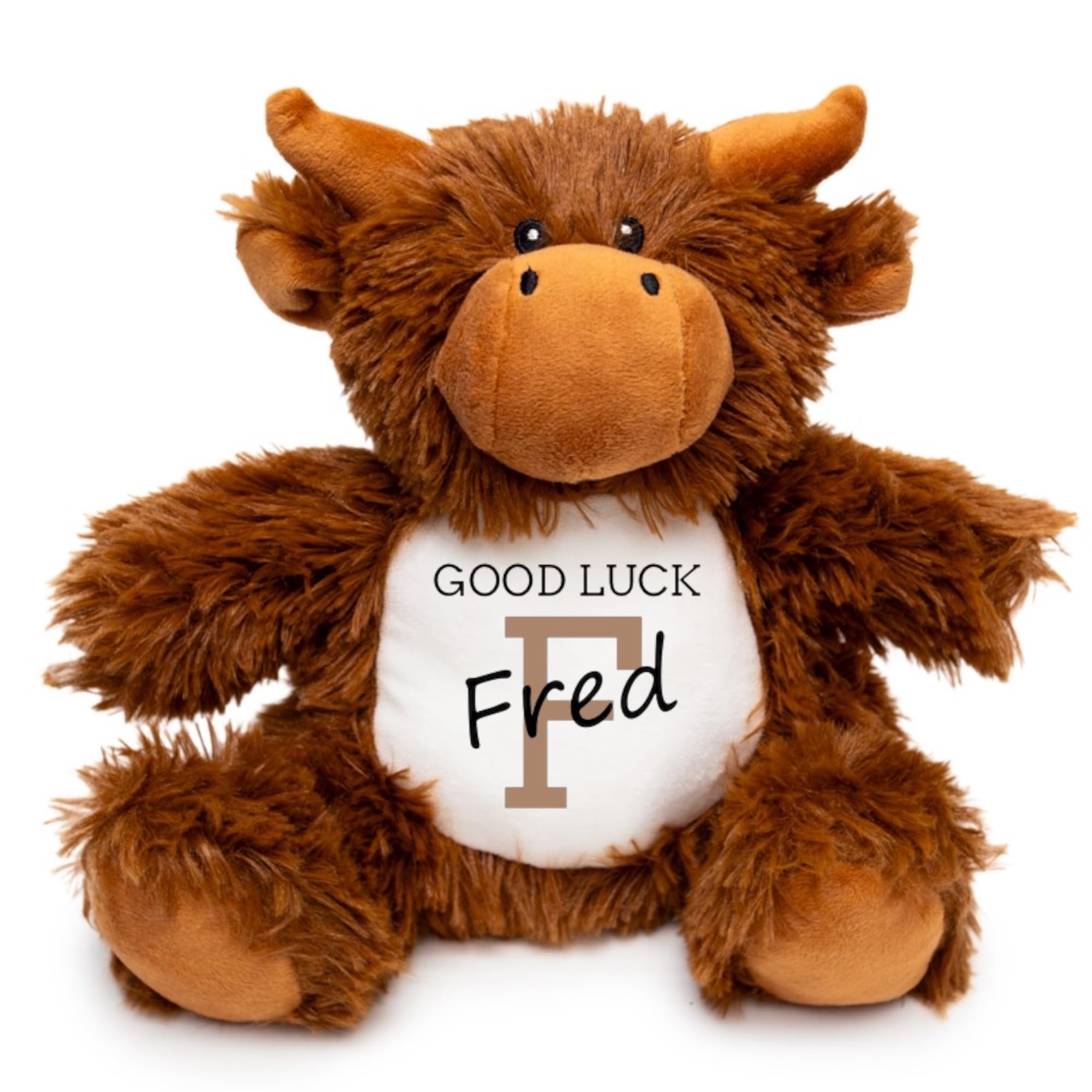 Ava Graceful Designs Personalised Good Luck Plush Teddy Bear | Good Luck In Your Exams, New Job, Driving Test | Bunny Cow Dinosaur Monkey Unicorn Cuddly Soft Toy