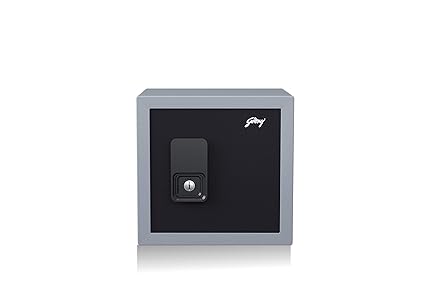 Godrej Security Solutions Metal Forte Advance C45 EL Home Locker (Grey)
