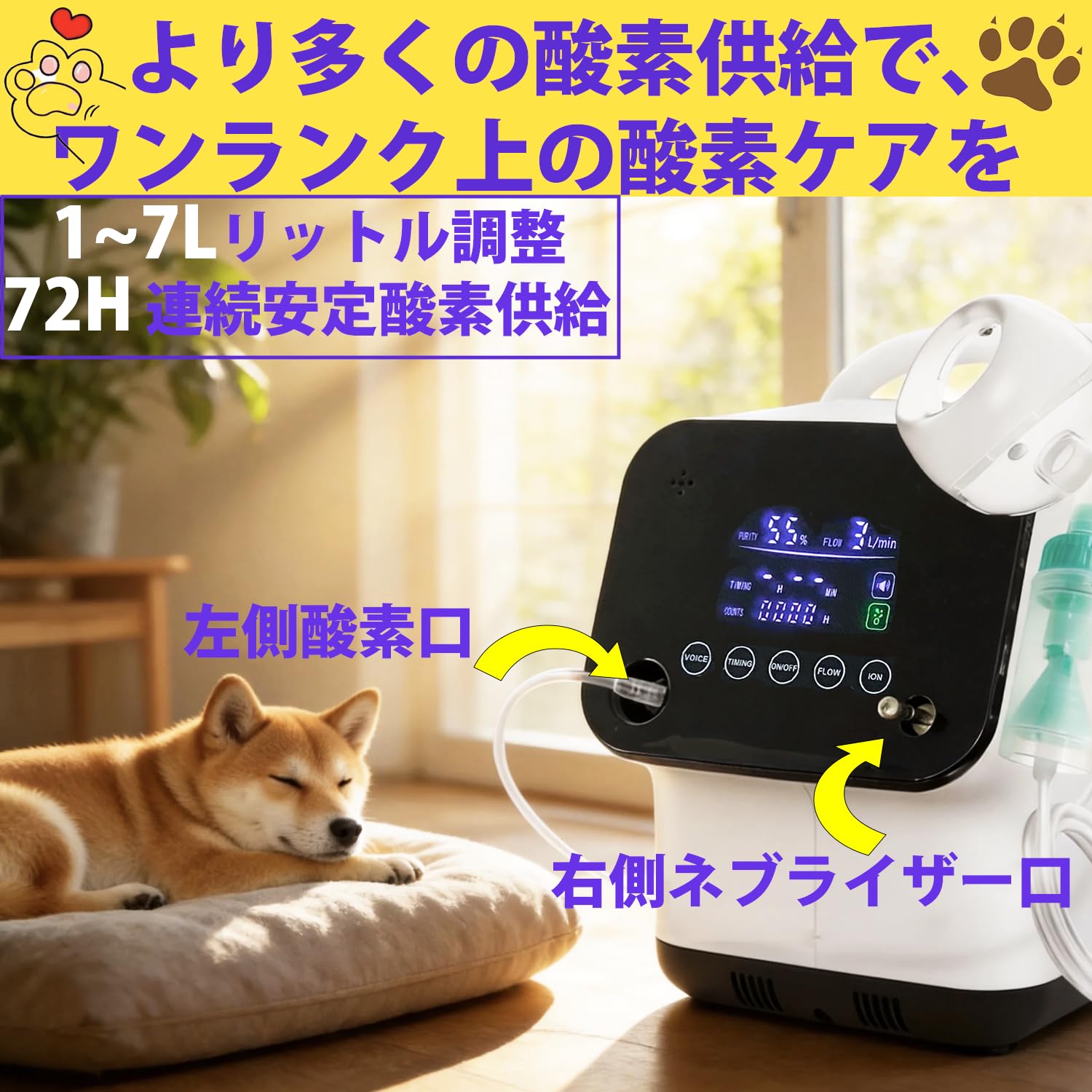 ペット用酸素濃縮器 クリーム色 楽天市場】【獣医師監修 即日発送