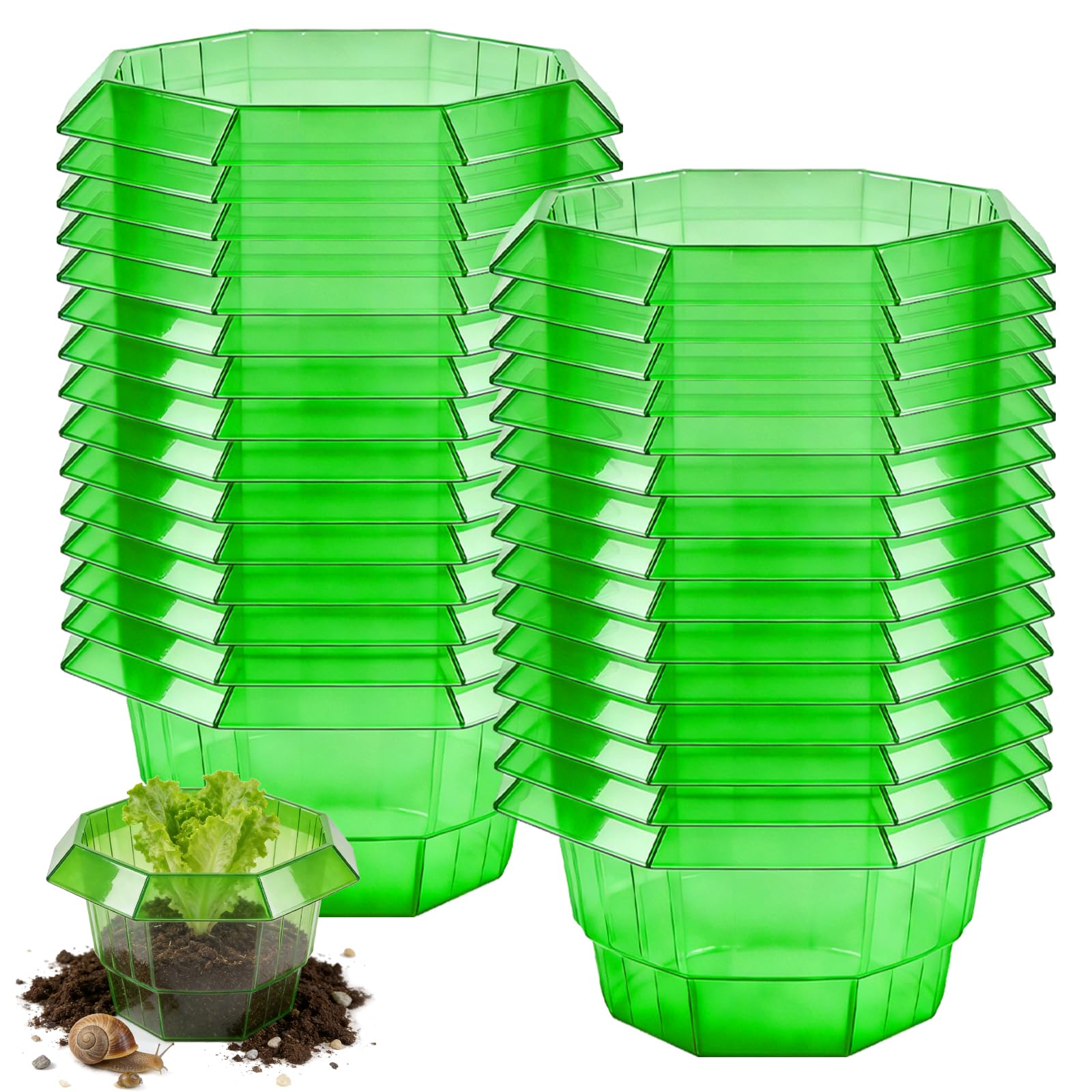 30 colliers anti-limaces