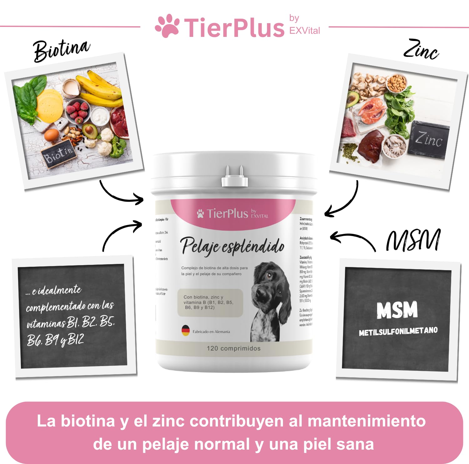 TierPlus Pelaje Radiante, Complejo de biotina de Alta dosis para Perros, contra la caída del Pelo, el picor y la Piel Seca – para un Pelaje Brillante y una Piel Sana, 120 tabletas