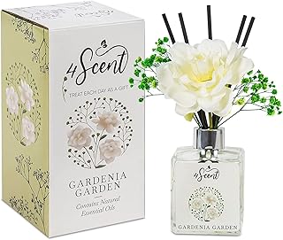 4SCENT Reed Diffuser Set 6.7 fl oz with Preserved Gypsophila (Baby's Breath) and Artificial Gardenia for Home Fragrance and Decor | Aromatherapy with Essential Oil and Rattan Sticks | Gardenia Garden