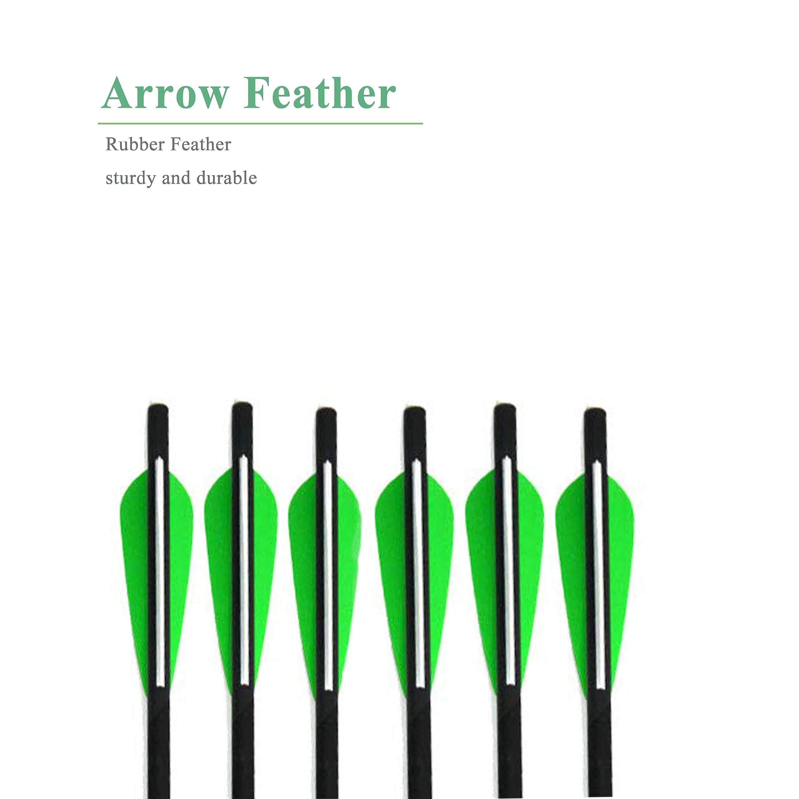 AMEYXGS 12pcs Flèches D'arbalète Mélangées de Carbone de Boules D'arbalète 16 "17" 18 "20" 22 "pour La Pratique de Chasse à L'arbalète et de Tir à l'arc