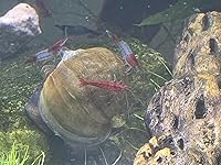 Review Image by Sherry LaRochelle Sherry LaRochelle