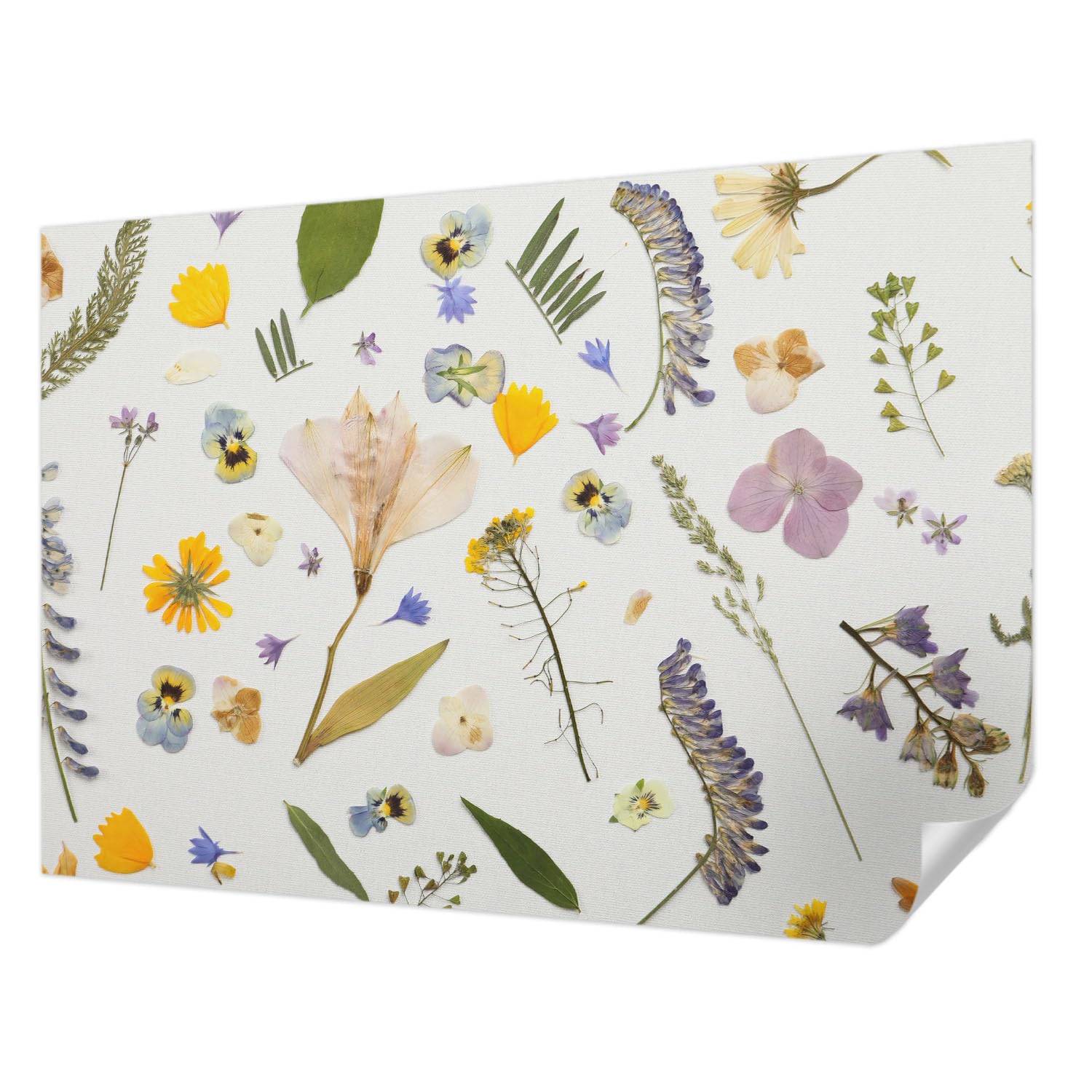 Papier peint adhésif panoramique fleurs printanières décoration murale chambre et salon 312x219