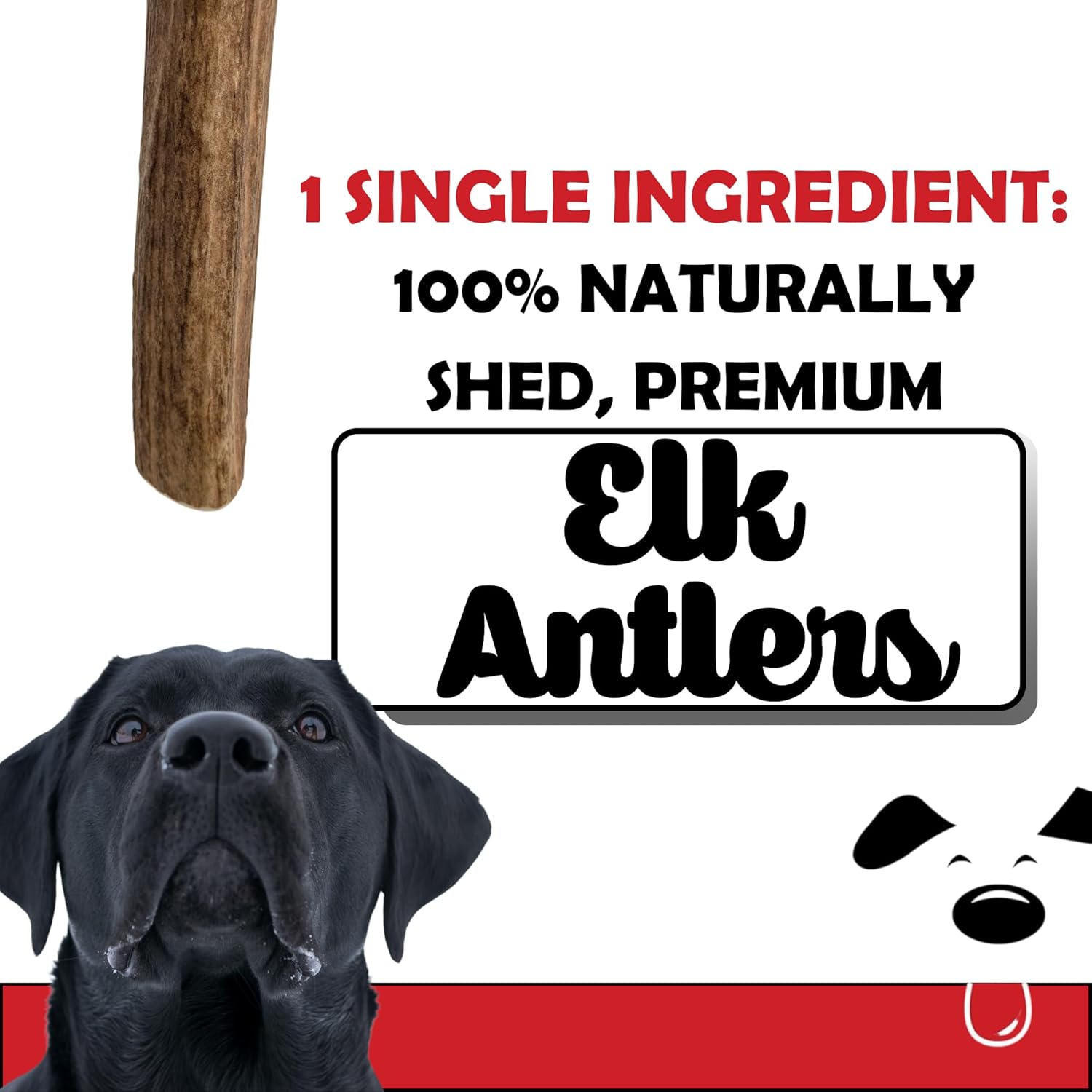 Winni Treats Elk Antlers for Dogs - Single Ingredient, Preservative-Free, Premium Shed, Grade A Split Elk Antler Dog Chew, High in Protein, Calcium for Teeth, Low in Fat, Dog Treat Antler (2 Pieces)
