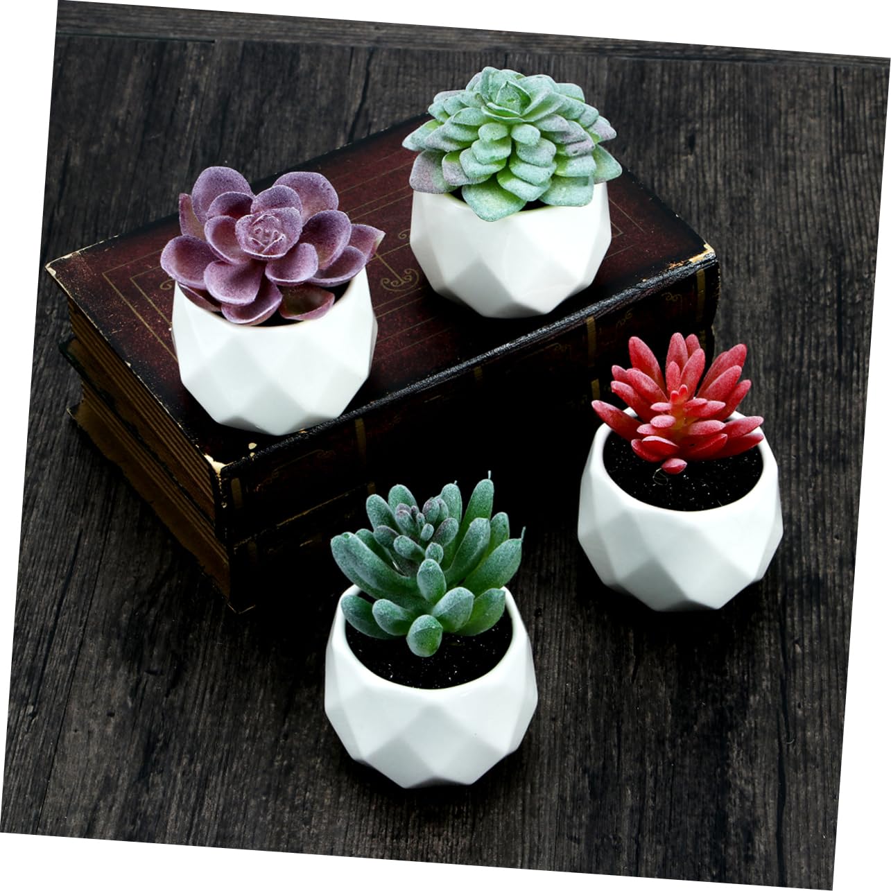 Composizione di Piante Grasse Artificiali in Vaso 4 Pezzi Ceramico Pvc