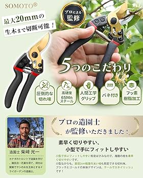 Amazon | 【プロ造園士監修】SOMOTO 剪定バサミ 鋭い切れ味 剪定