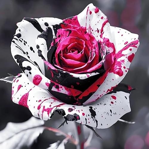 Más de 150 semillas de rosas raras para plantar - Semillas de rosas reliquia, arbustos de jardinería, arbusto enredadera trepadora de floración