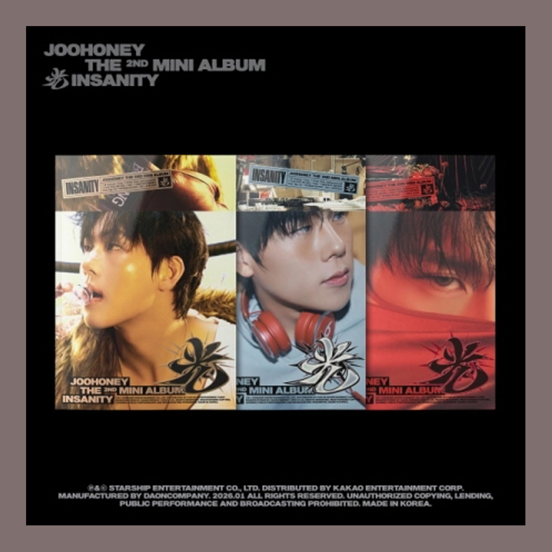 Mini album Monsta X Joohoney Insanity le cadeau parfait avec livre photo surprise