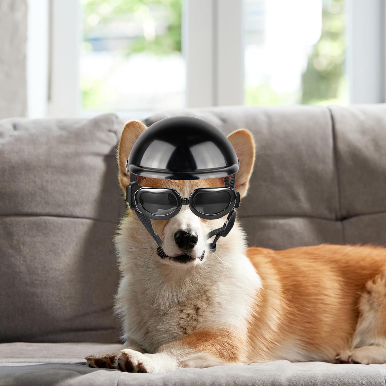 Dog Helmet and Goggles 2Pcs/Set Adjustable Chin Strap Dome Dog Helmet with Ear Hole Windproof Stylish Decorative Goggles Pet Supplies ...