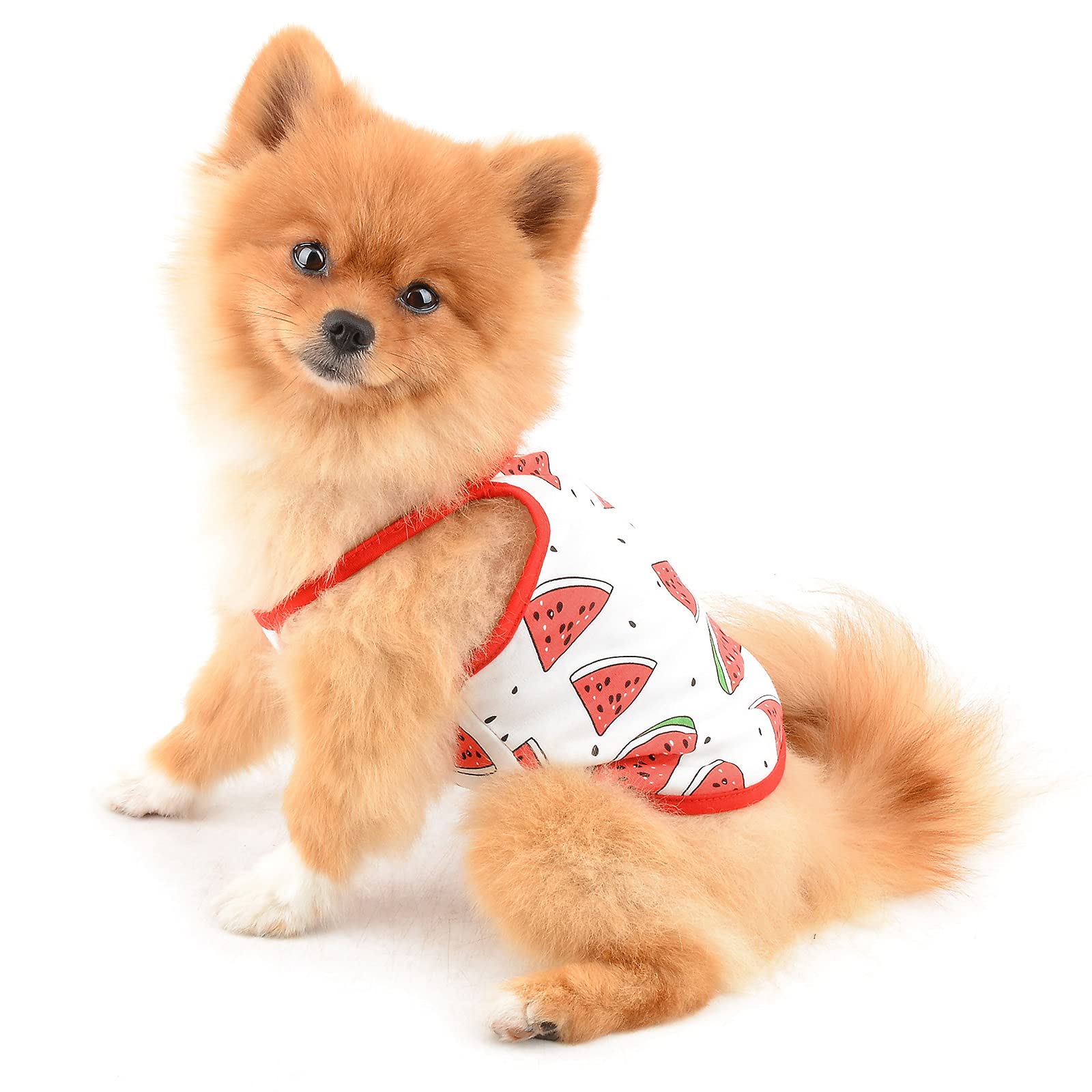 PAIDEFUL Dog Shirt for Small Medium Dogs Girls Puppies Soft Cotton Suspender Pet t Shirts for Cats Apparel Chihuahua Yorkie Clothes Female Tank Tops Breathable Vest Tee Summer Wearing Watermelon XL
