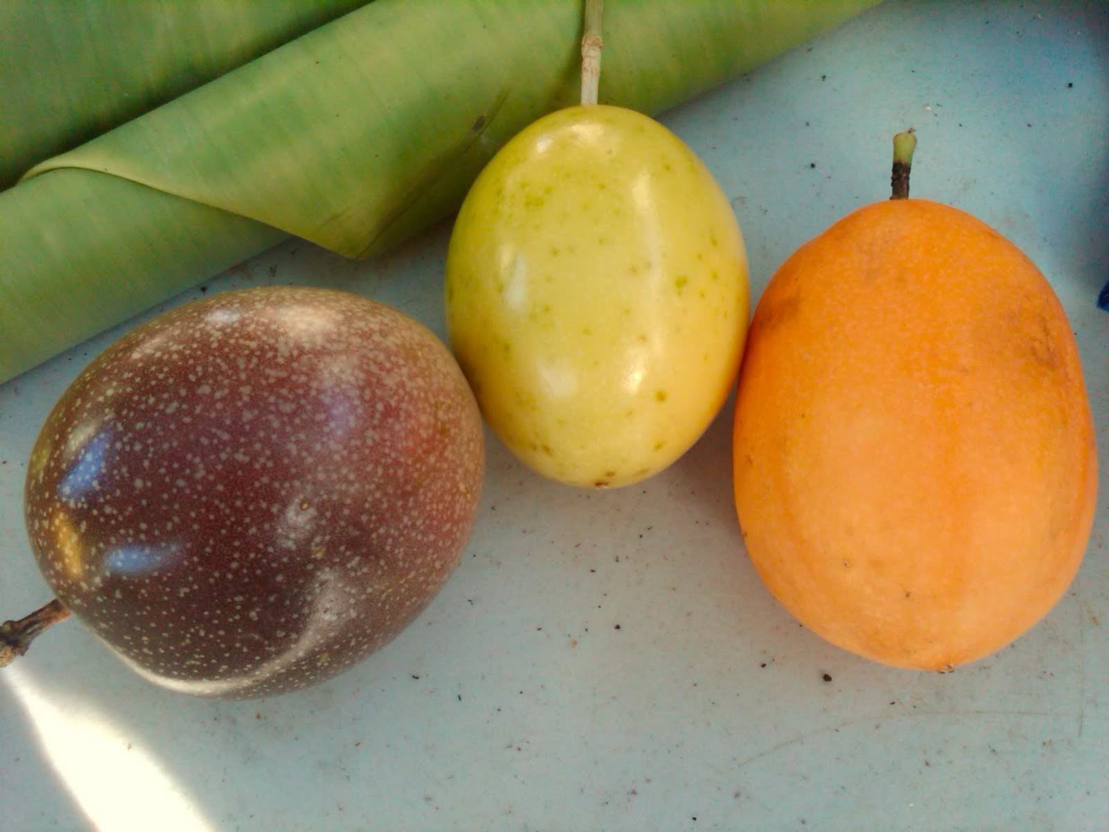 Creative Farmer Fruit Seeds : Passion Fruit - Yellow Fruit Seeds For Home Garden Fruit Seeds Kitchen Garden Pack (B075PWDLGY) Amazon Price History, Amazon Price Tracker