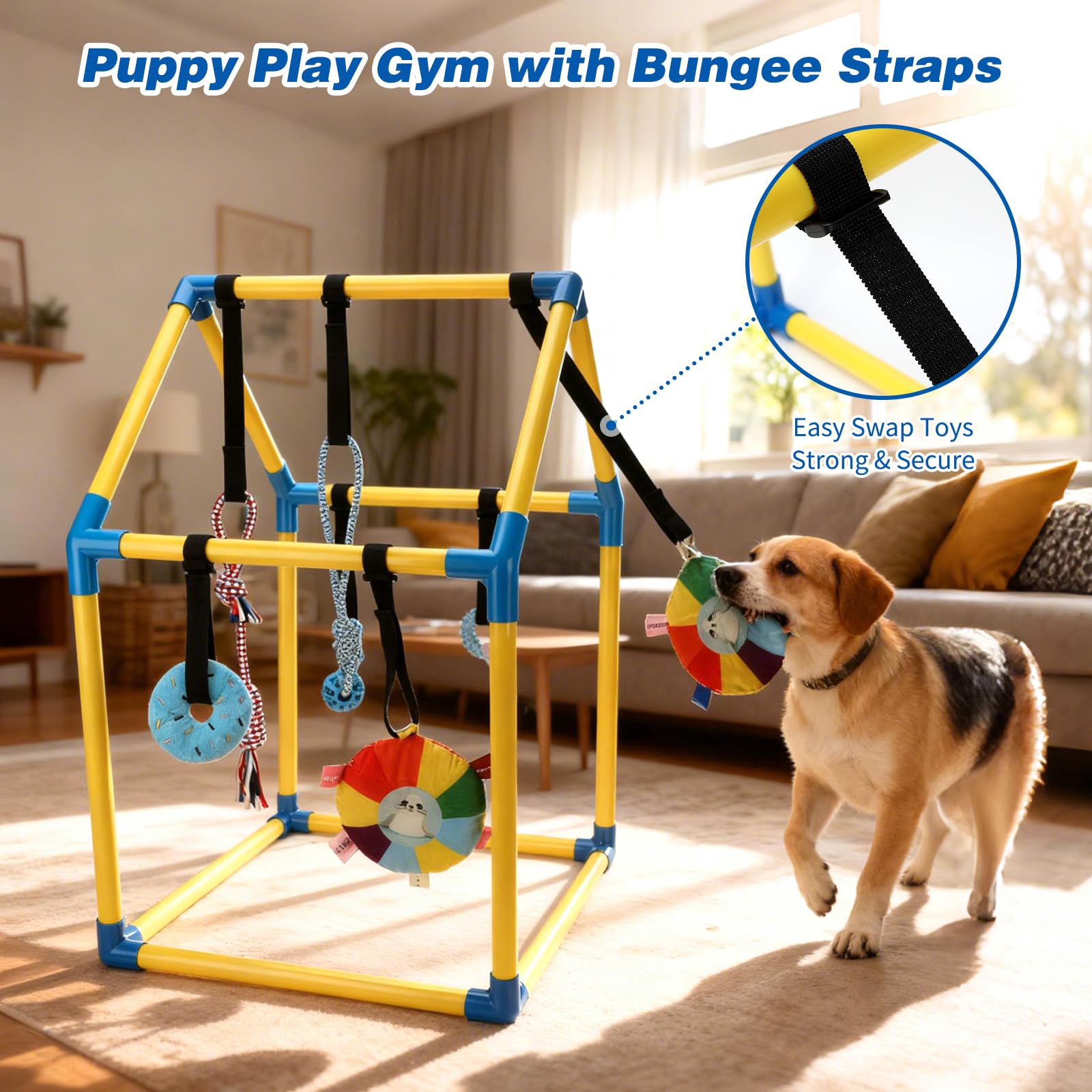 Gimnasio de juego para cachorros con 8 juguetes colgantes, juguetes de gimnasio de selva para perros pequeños con marco de PVC, juguete interactivo para cachorros con correas elásticas para
