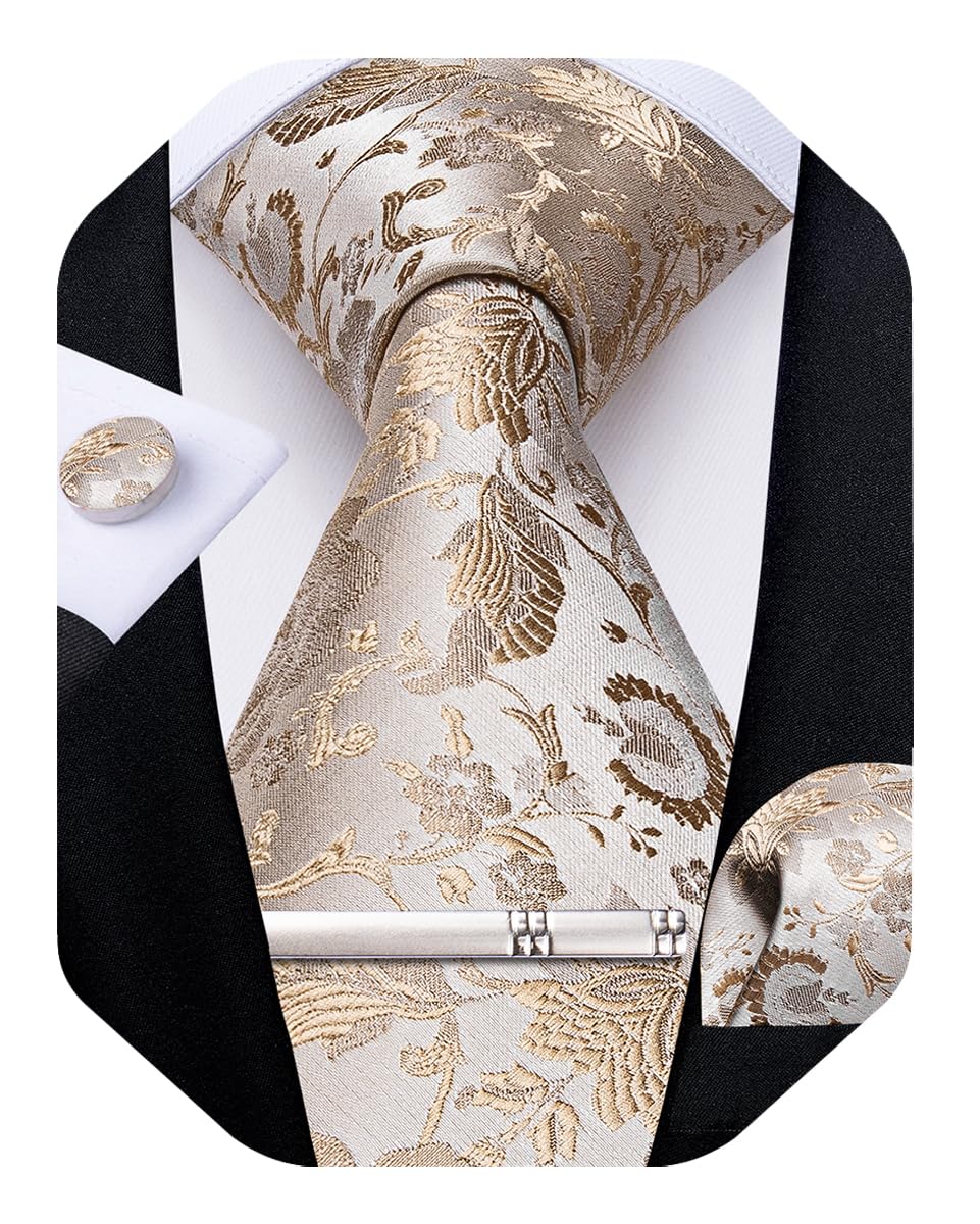 DiBanGu Silk Floral Ties for Men Woven Paisley Necktie