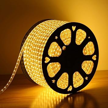 Desidiya LED Strip Rope Light,Water Proof,Ceiling Light,Decorative led Light with Adapter. (5 Meter, Warmwhite)
