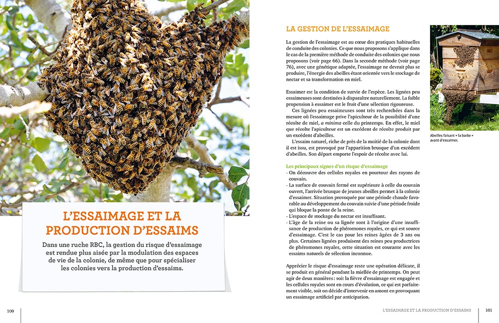 La ruche basse consommation d'énergie: Une "révolution apicole"
