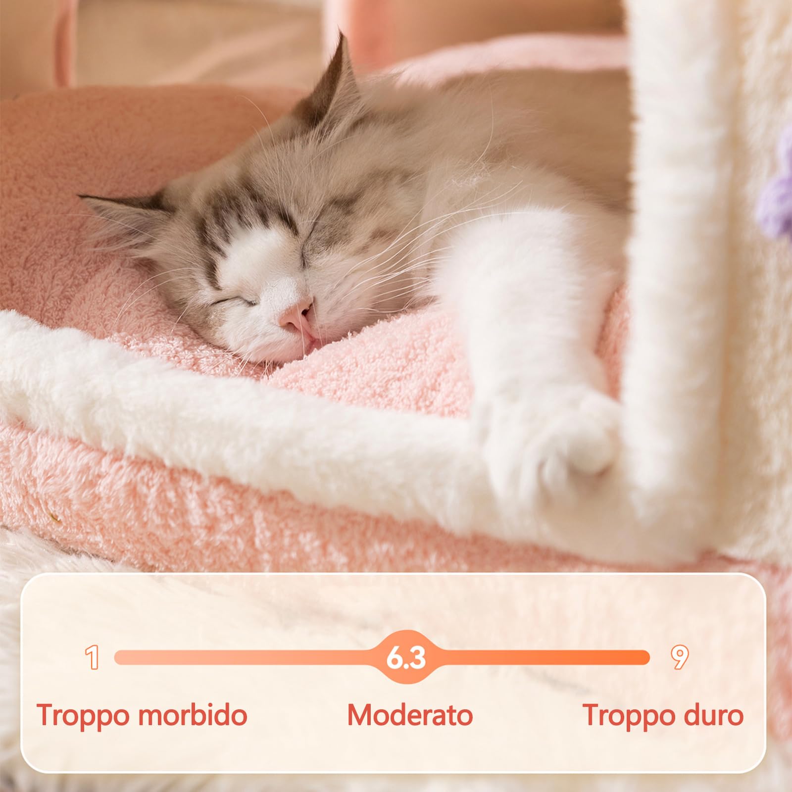 Galatée Cuccia Per Gatti, Cuccia Calda e Carina Per Gatti, Tenda Morbida Con Cuscino Rimovibile, Comodo Letto Per Cani, Letto Comodo Per Cucciolo, Gattino e Coniglio(XL, Marrone)