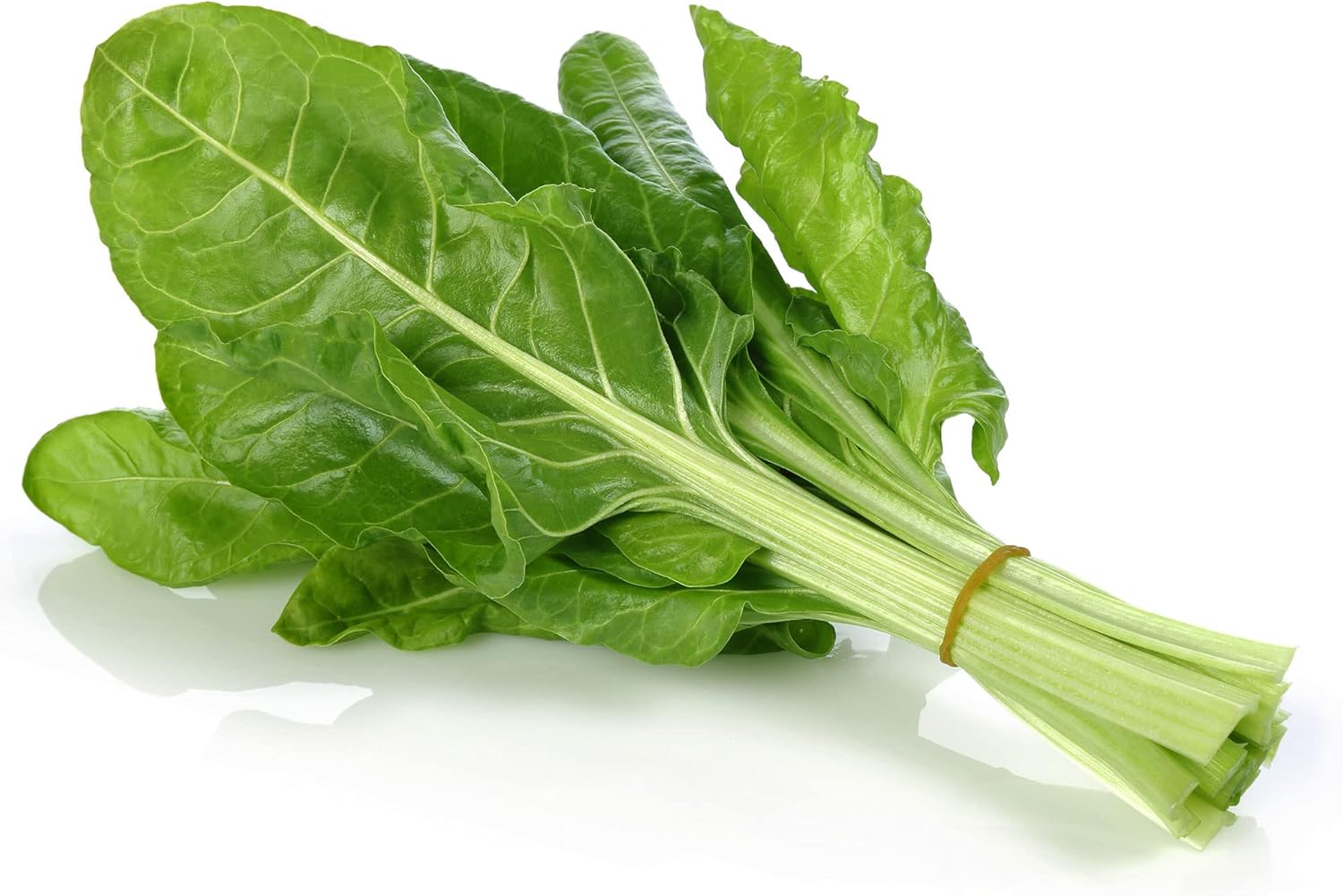 Swiss Chard Seeds - Japanese Umaina - 1 Oz ~1900 Seeds - Non-GMO, Heirloom - Asian Garden Vegetable & Microgreens